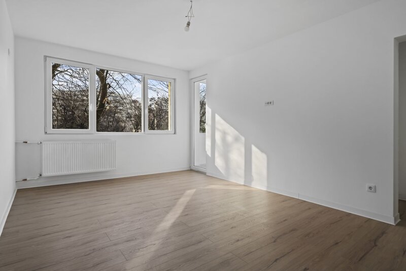 Colentina, Teiul Doamnei, Obor, Doamna Ghica, Ion Berindei.