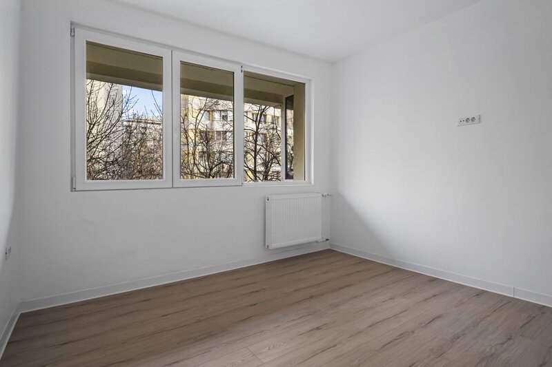 Colentina, Teiul Doamnei, Obor, Doamna Ghica, Ion Berindei.