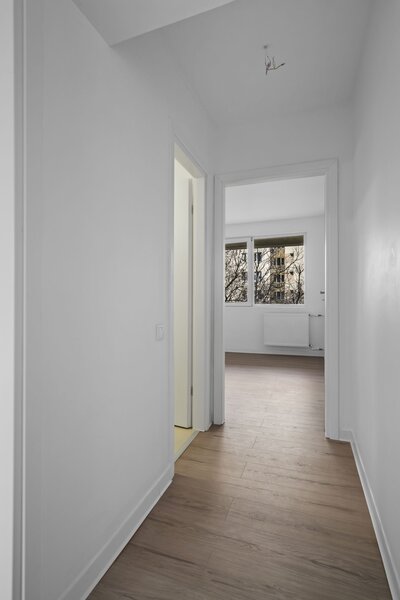 Colentina, Teiul Doamnei, Obor, Doamna Ghica, Ion Berindei.