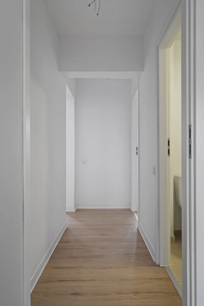 Colentina, Teiul Doamnei, Obor, Doamna Ghica, Ion Berindei.