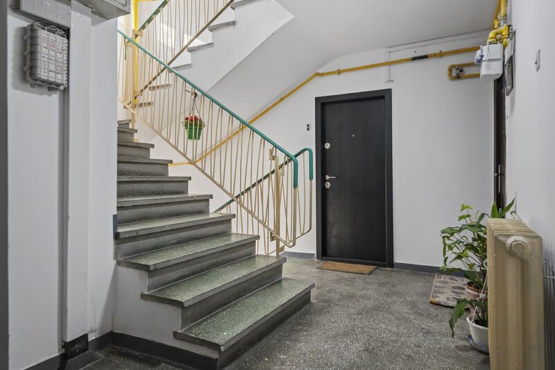 Colentina, Teiul Doamnei, Obor, Doamna Ghica, Ion Berindei.