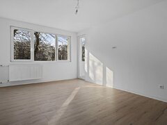 Colentina, Teiul Doamnei, Obor, Doamna Ghica, Ion Berindei