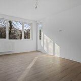 Colentina, Teiul Doamnei, Obor, Doamna Ghica, Ion Berindei